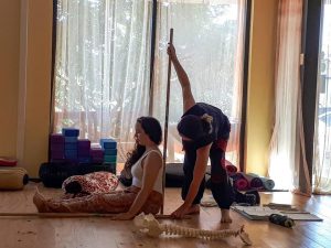 Yoga Teacher Training available at Yoga Sol 
